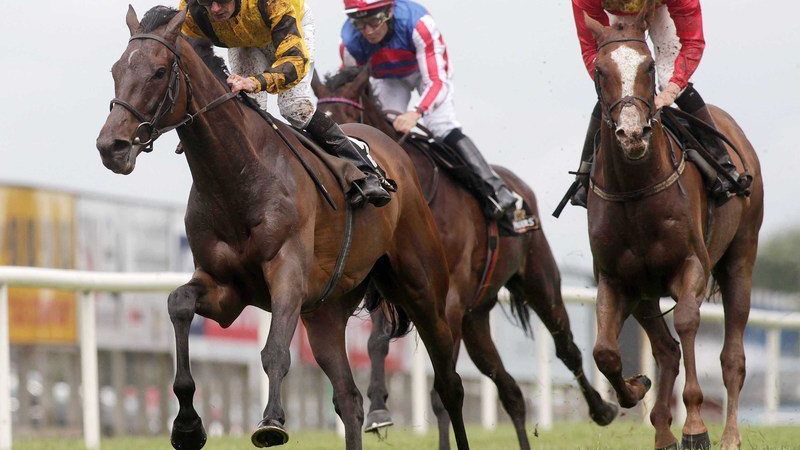 Preview: Qatar Goodwood Festival