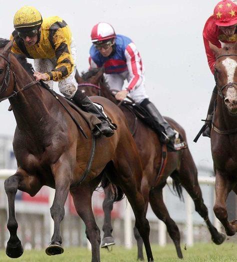 Preview: Qatar Goodwood Festival