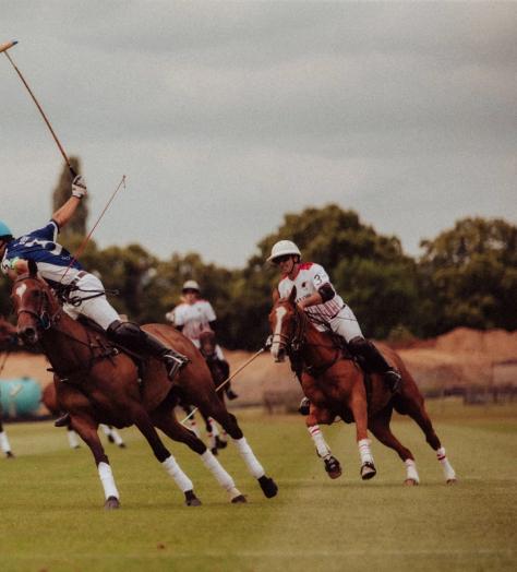 black-bear-polo-hero