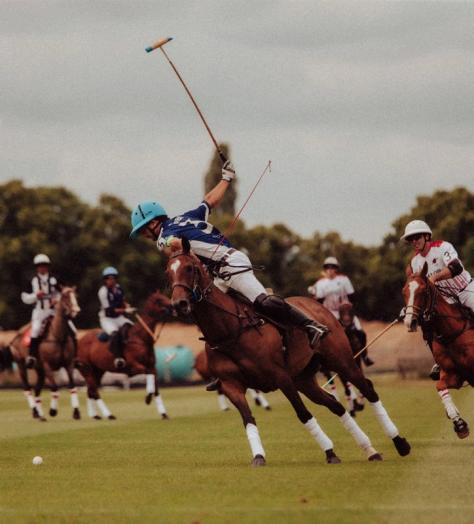 black-bear-polo-hero