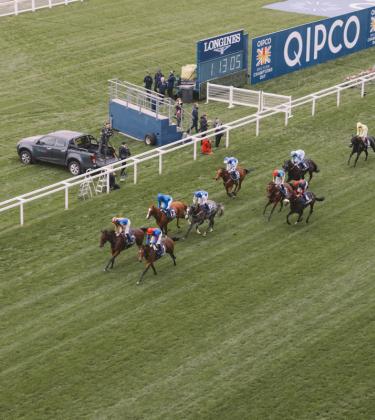 The Diary: QIPCO British Champions Day at Ascot