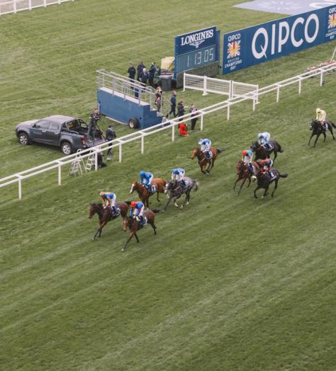 The Diary: QIPCO British Champions Day at Ascot