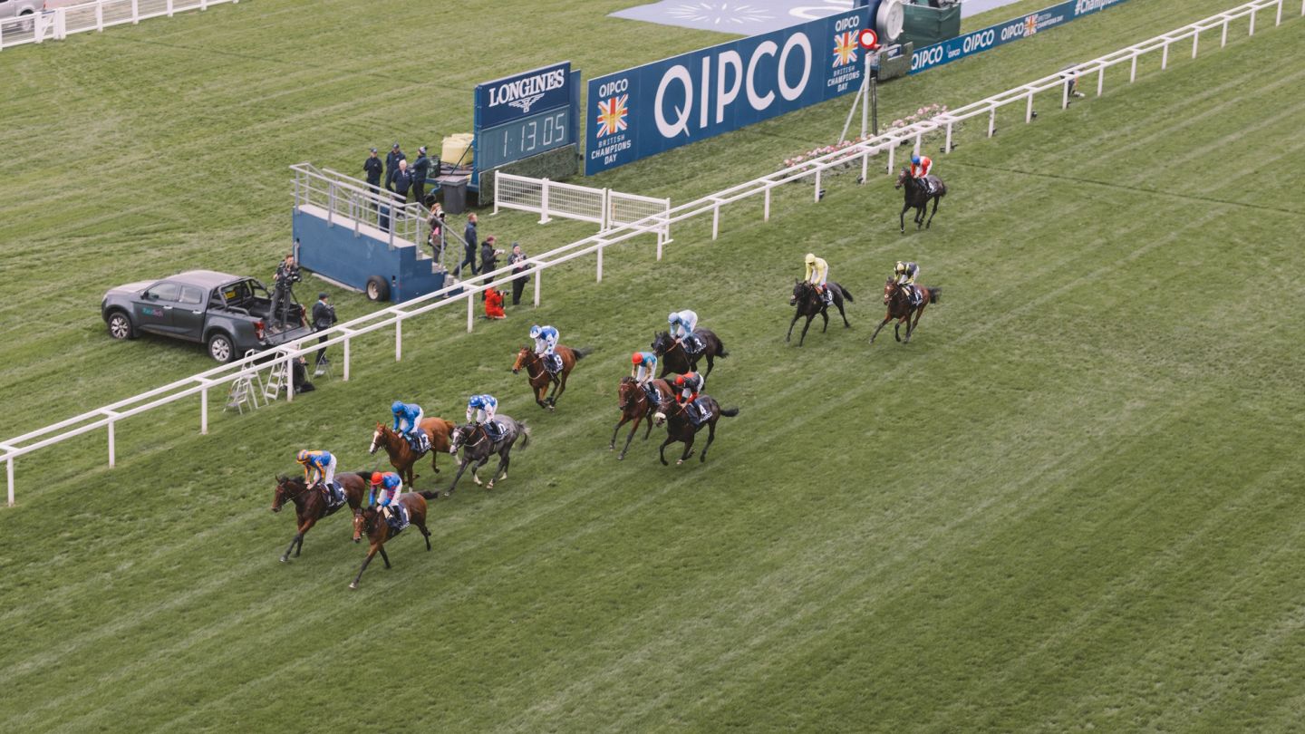 The Diary: QIPCO British Champions Day at Ascot