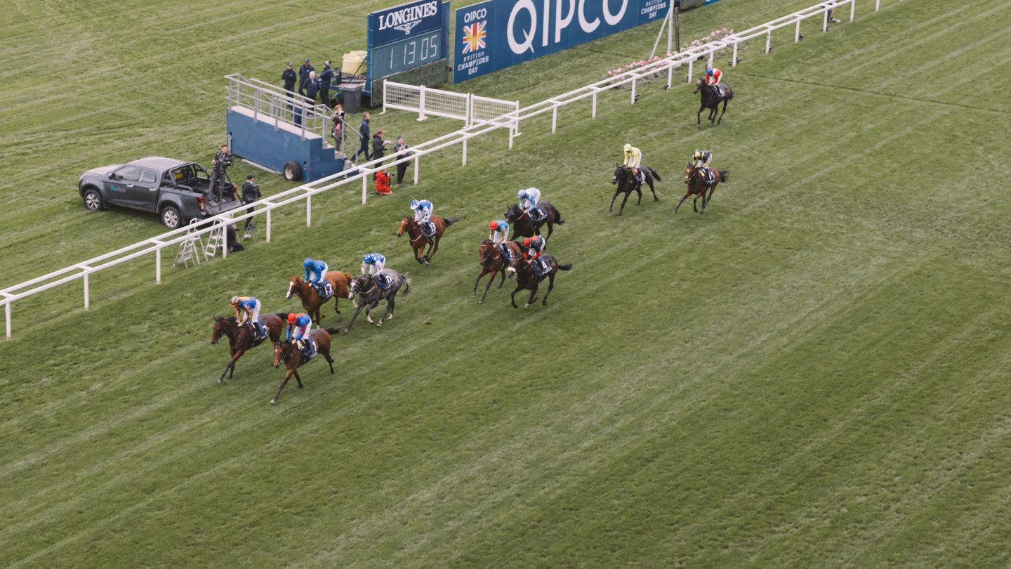 The Diary: QIPCO British Champions Day at Ascot