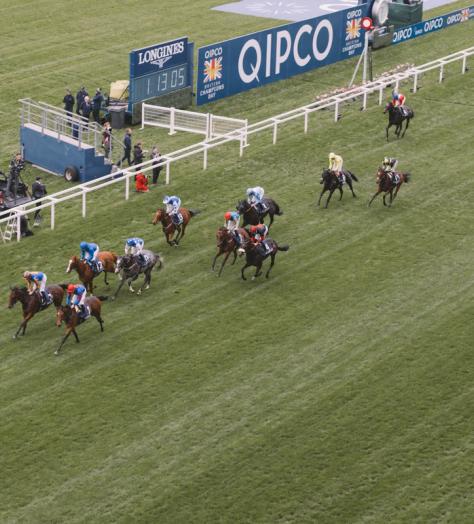 The Diary: QIPCO British Champions Day at Ascot