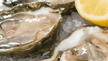 Food – Oyster Particulars