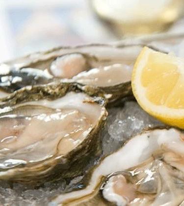 Food – Oyster Particulars