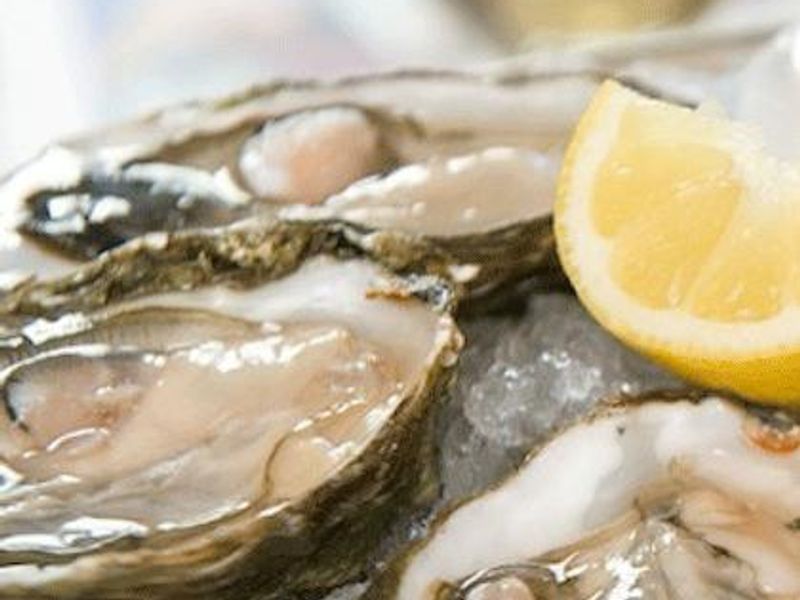 Food Oyster Particulars The Gentleman's Journal The latest in