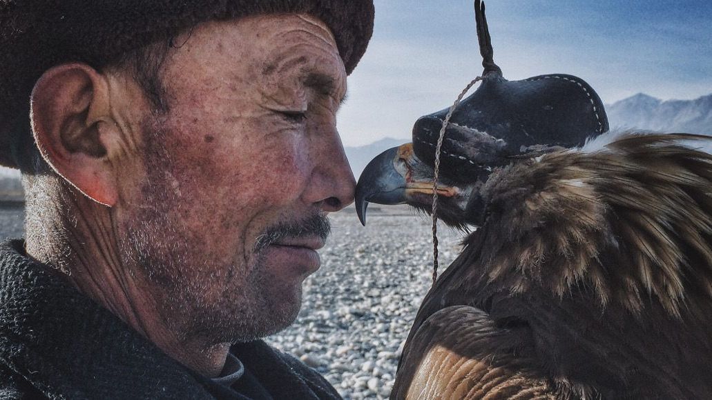 You won’t believe these incredible photos were taken on an iPhone