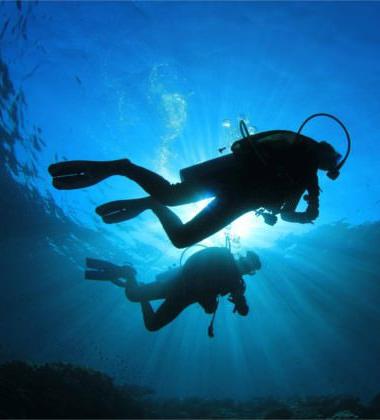 The World’s Best Diving Spots