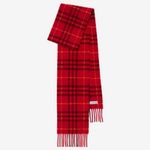 Burberry scarf
