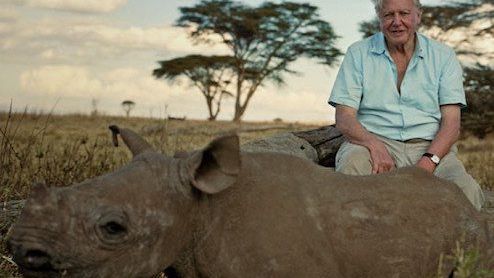 How the world has changed since David Attenborough has been alive