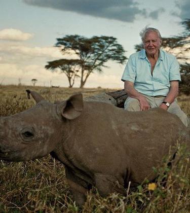 How the world has changed since David Attenborough has been alive