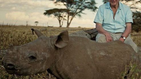 How the world has changed since David Attenborough has been alive