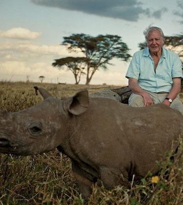 How the world has changed since David Attenborough has been alive