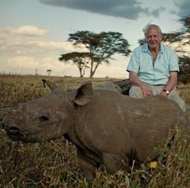 How the world has changed since David Attenborough has been alive