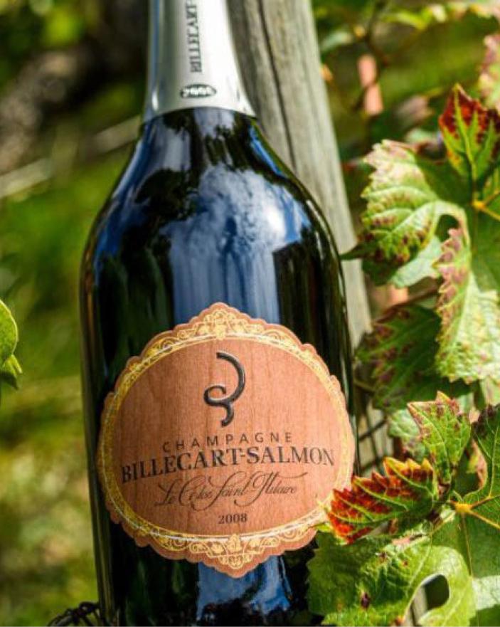 Clos Saint-Hilaire bottle among the vines