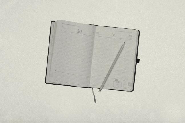 90. Drawing Life Studies