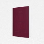 Wine and Food: The Perfect Match