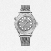 OMEGA Seamaster Diver 300m