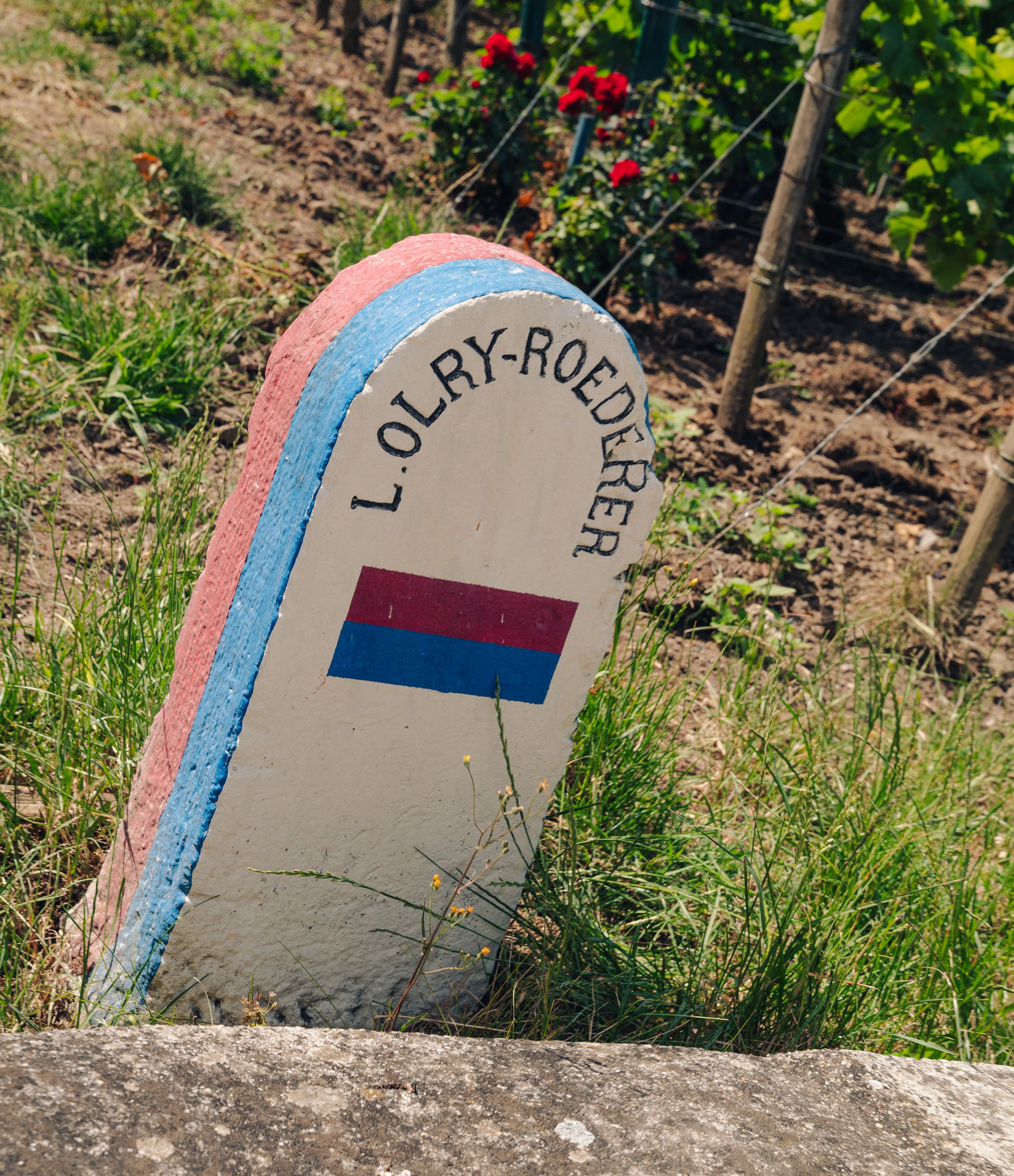 Roederer family marker among the vines
