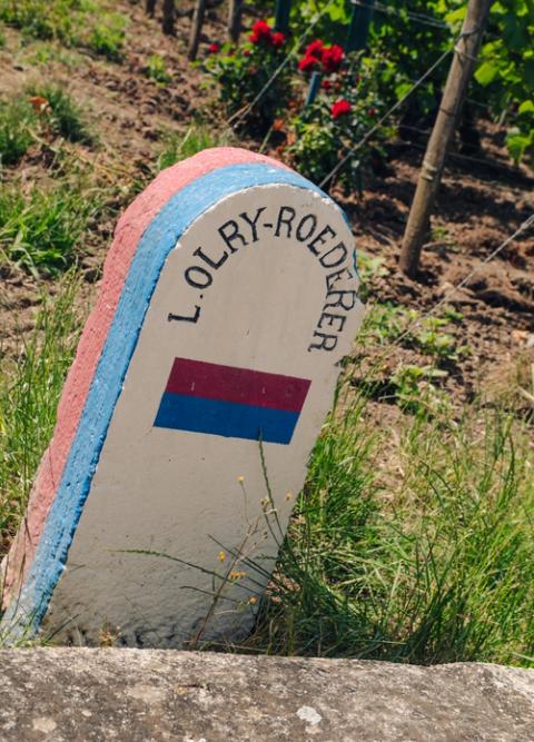 Roederer family marker among the vines