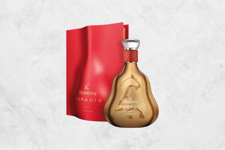 Paradis x Year of the Horse