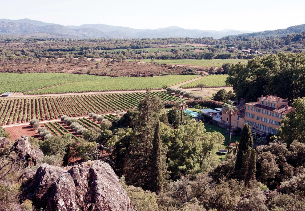 whispering angel vineyard