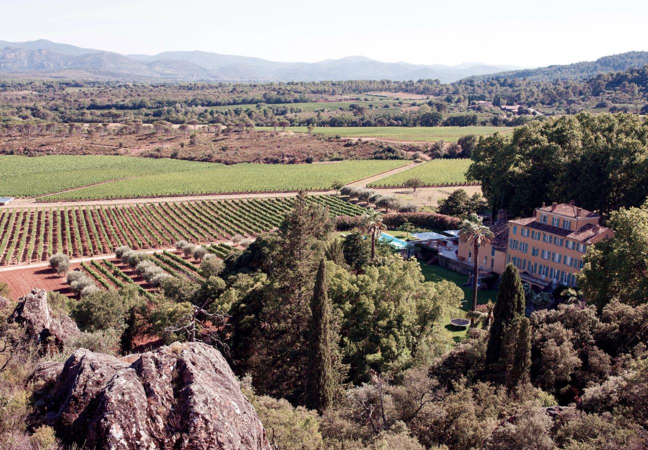 whispering angel vineyard