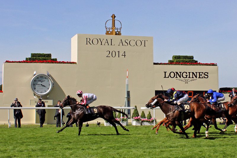 Longines horse hot sale racing