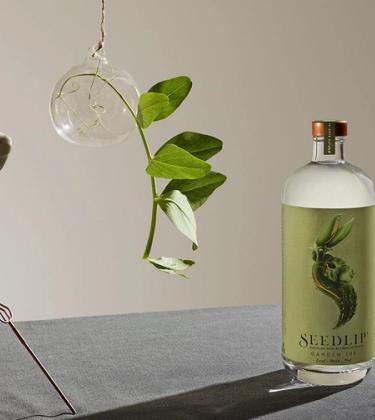 Uncorking the extraordinary success of Seedlip