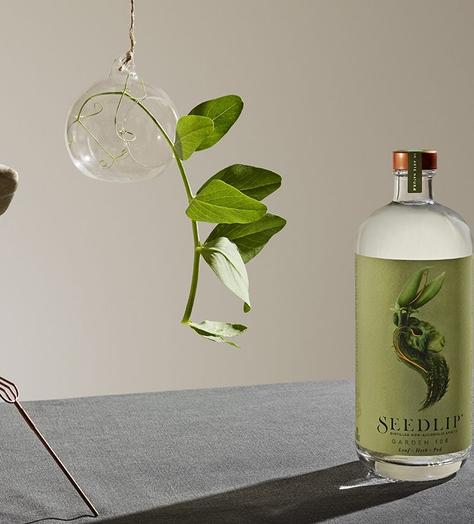 Uncorking the extraordinary success of Seedlip
