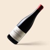 Corbières Campagnès Maxime Magnon 2018