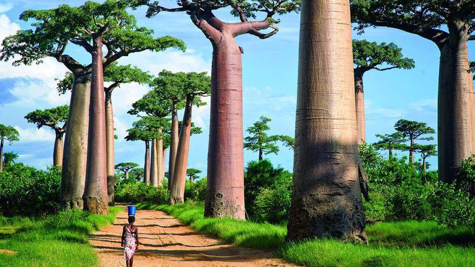 Top 10 reasons to visit Madagascar