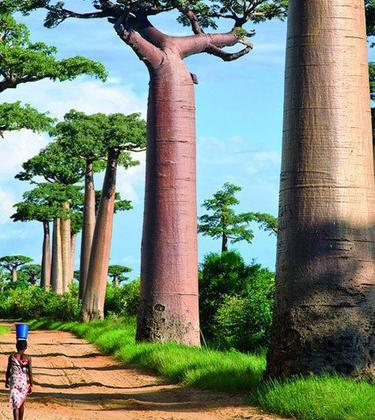 Top 10 reasons to visit Madagascar