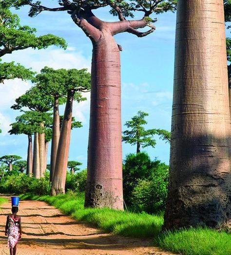 Top 10 reasons to visit Madagascar