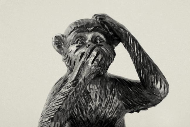 business drinking monkey illustration