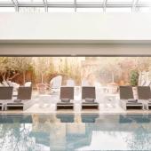 See Prices For Lime Wood