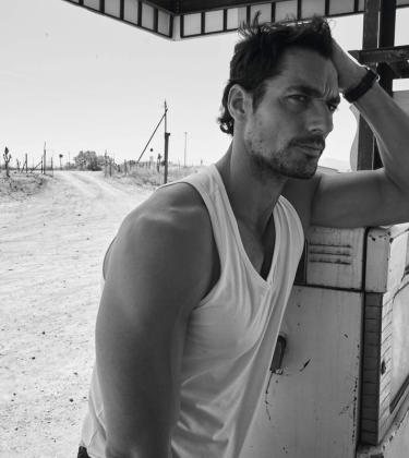 david gandy