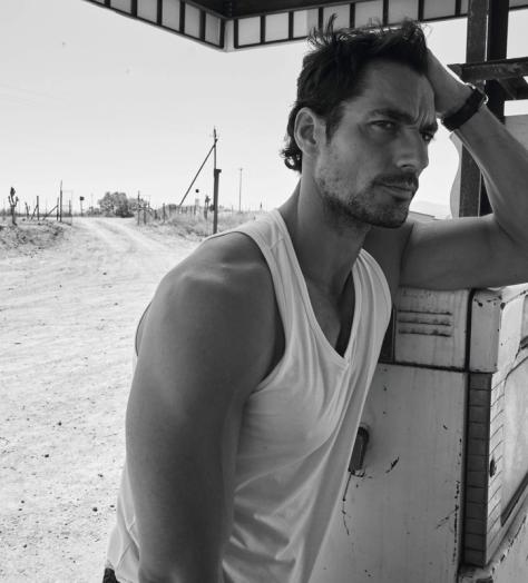 david gandy