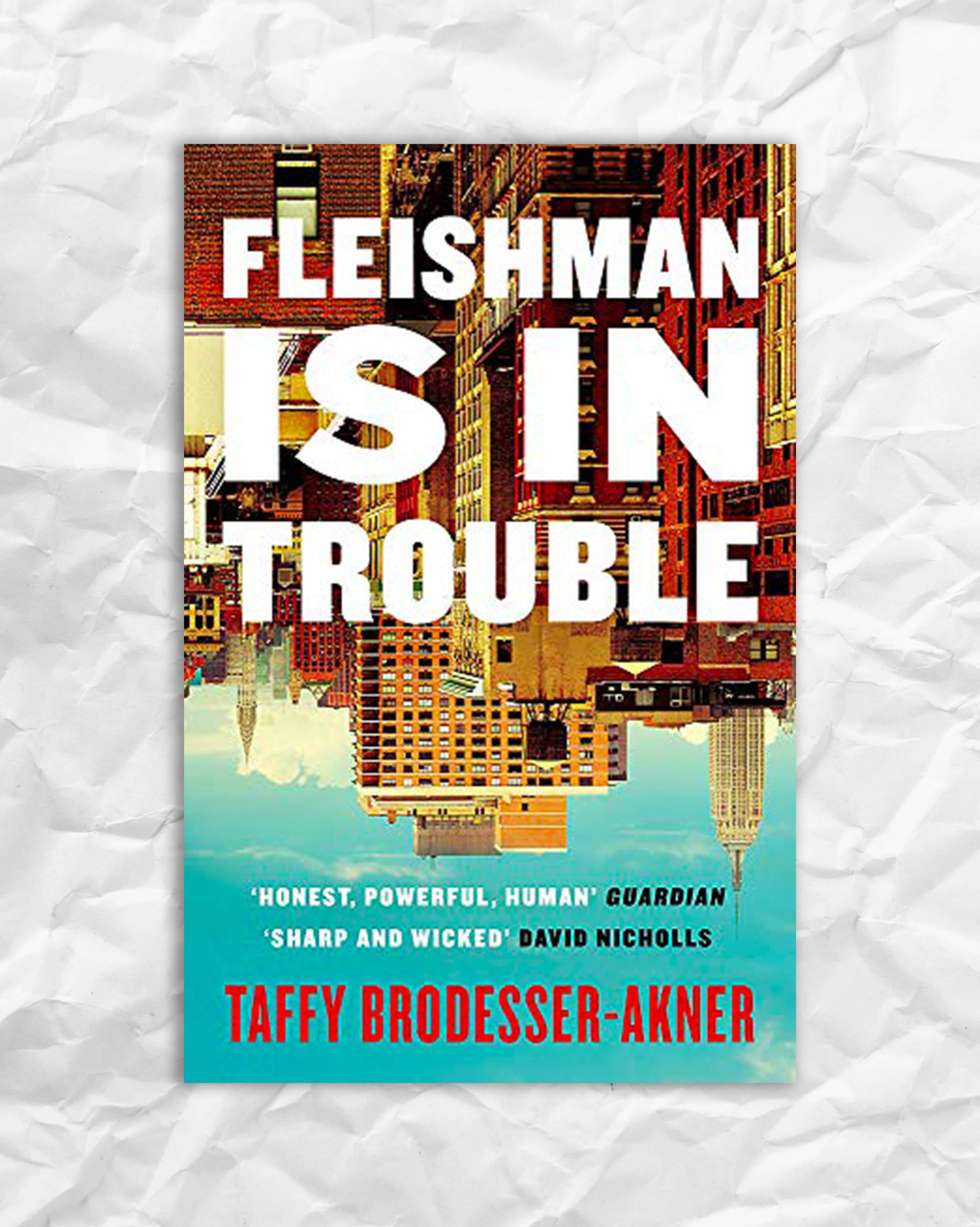 Fleishman Is In Trouble