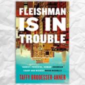 Fleishman Is In Trouble