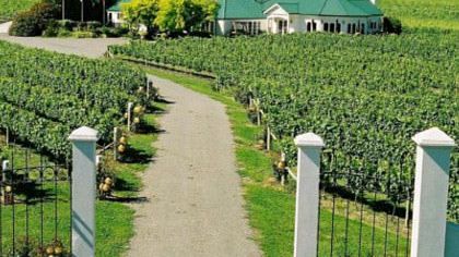 Top 10 Best Spots for Wine Tasting