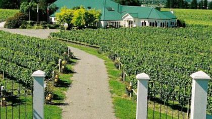 Top 10 Best Spots for Wine Tasting