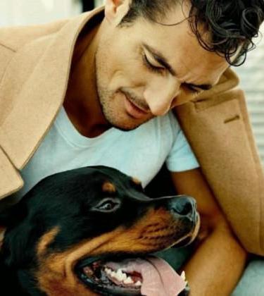 What your dog says about you