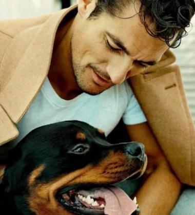 What your dog says about you