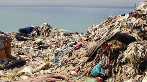 Documentary – Trashed