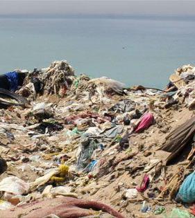 Documentary – Trashed