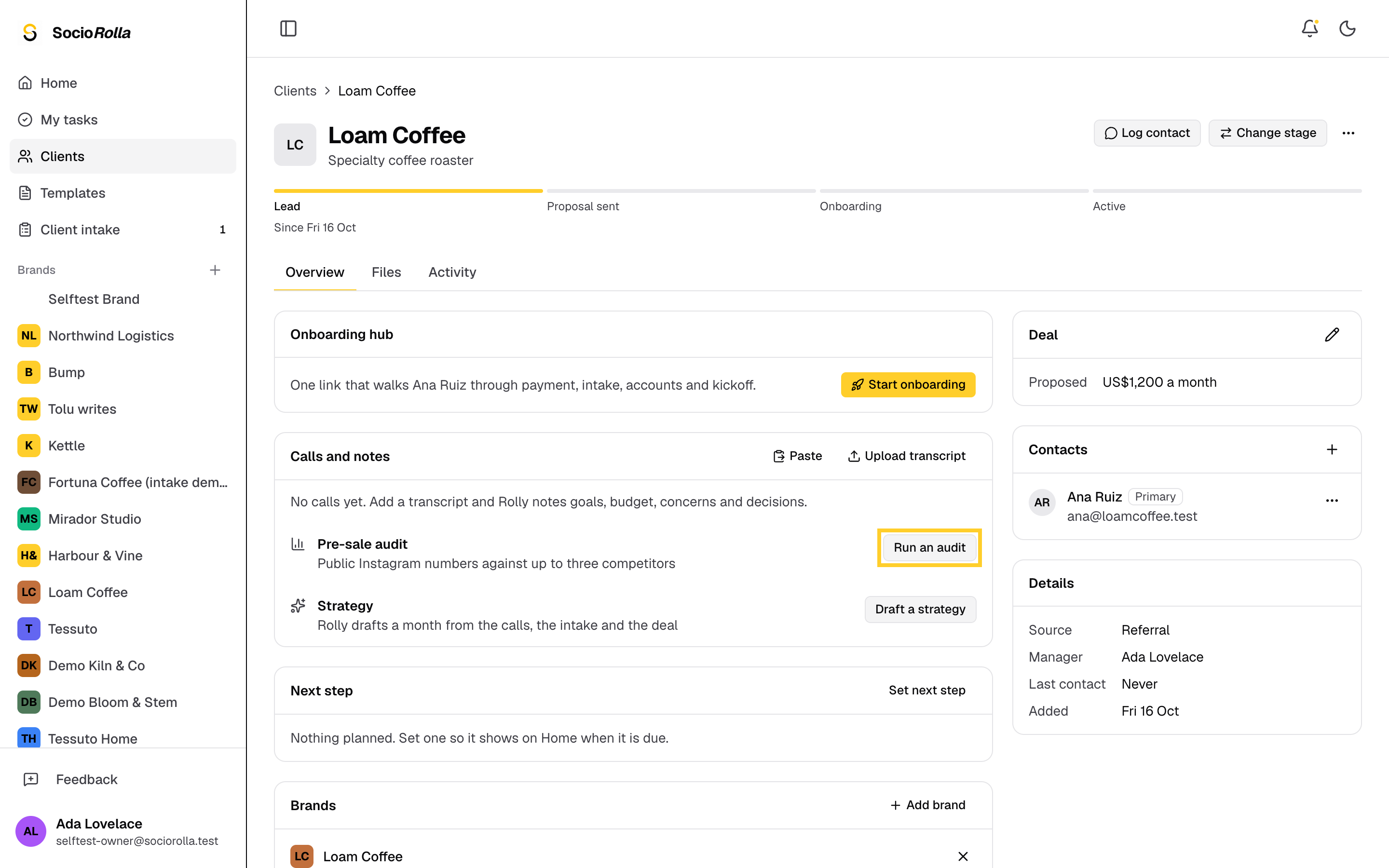 Step 2: While the client is a lead, click Run an audit.