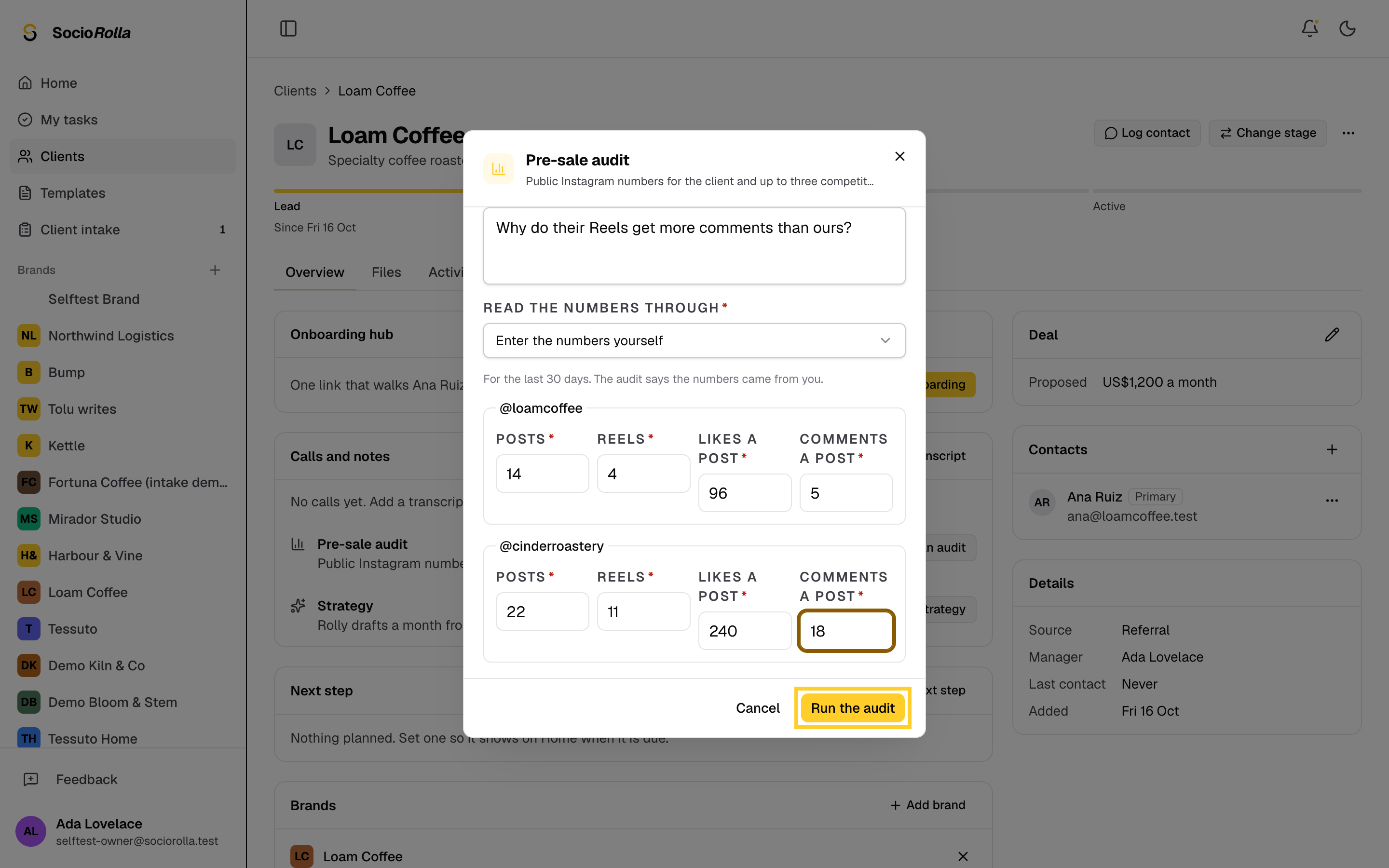 Step 5: Click Run the audit. The audit opens, and Rolly fills it in about a minute.